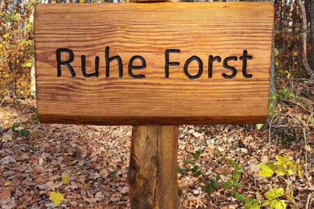 Beisetzung im Ruheforst Wald Urne