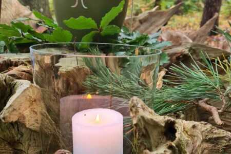 Ruheforst Baumbestattung Warnemünde