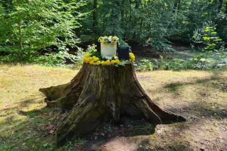 Bestattungshaus Warnemünde Ruheforst Kosten