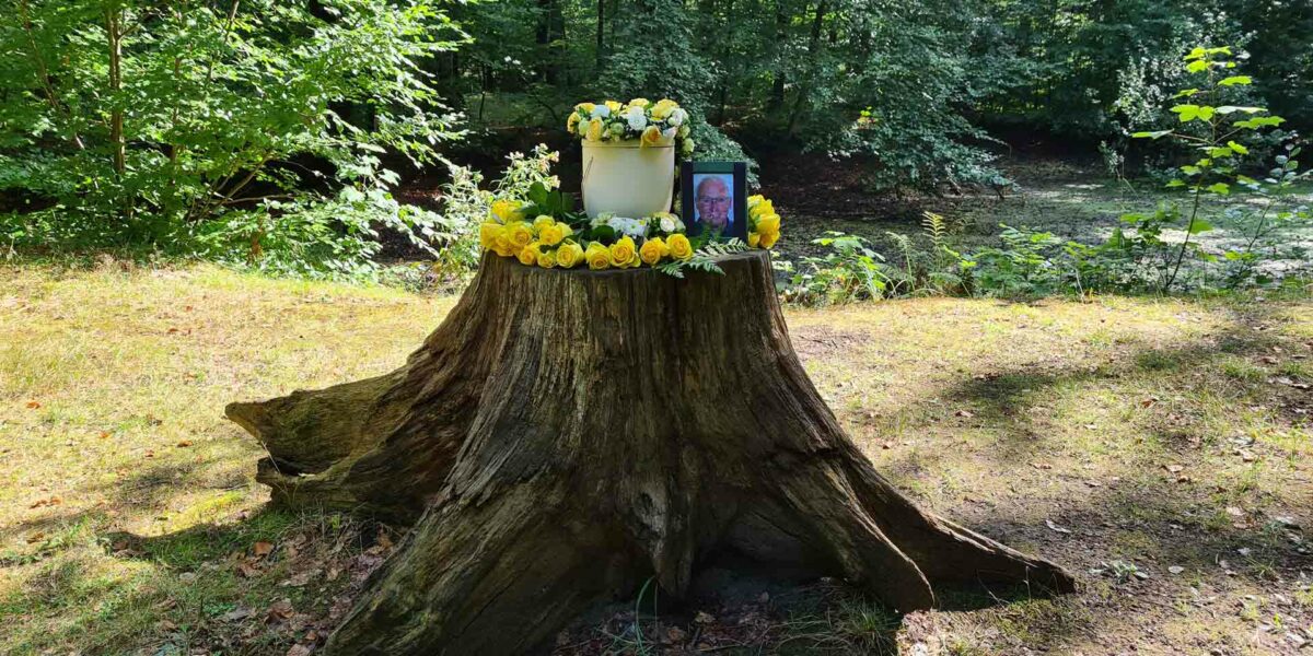 Ruheforst Rostocker Heide