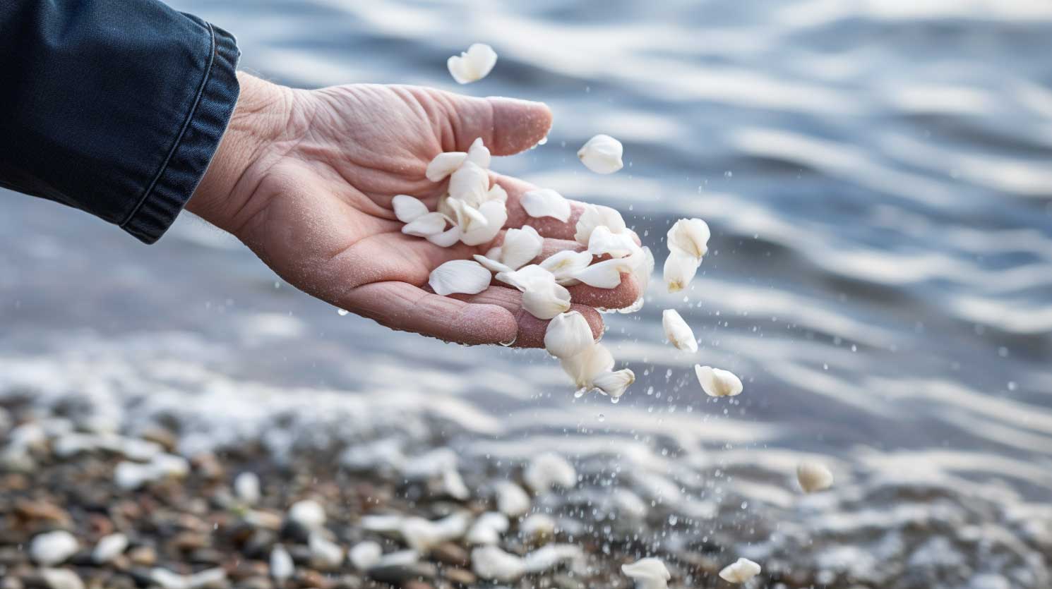 Seebestattung vor Heiligendamm