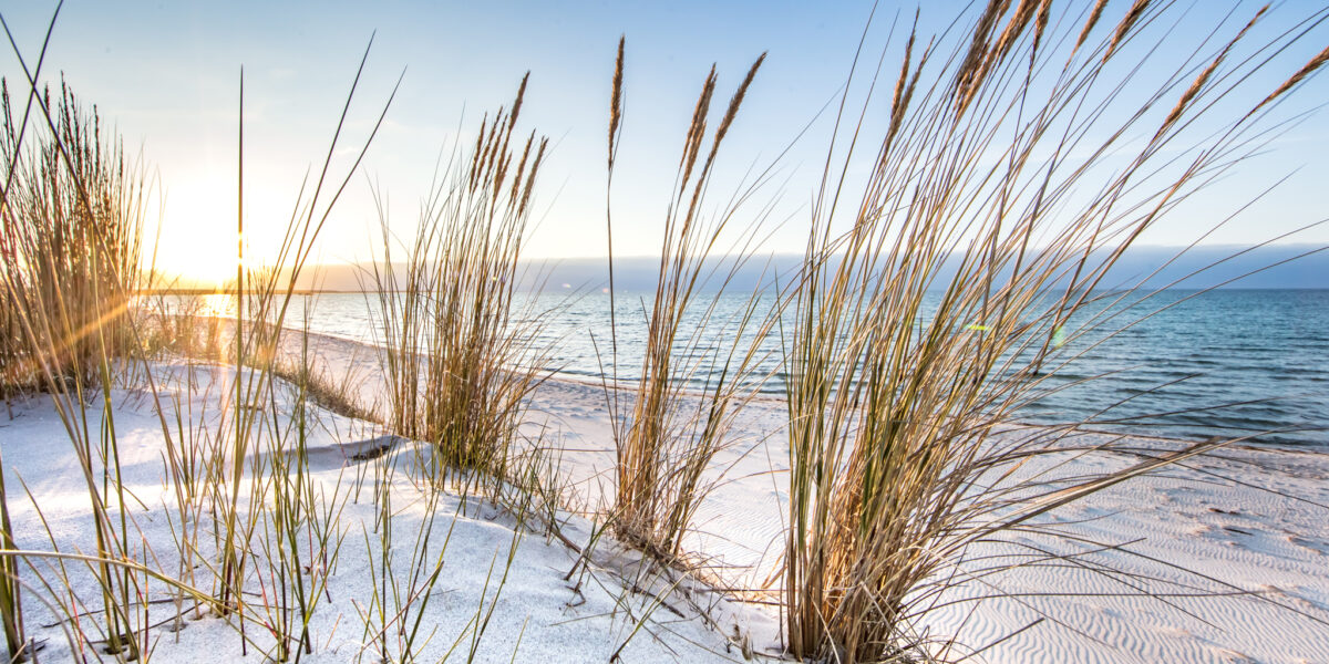 Seebestattungen vor dem Darsser Ort