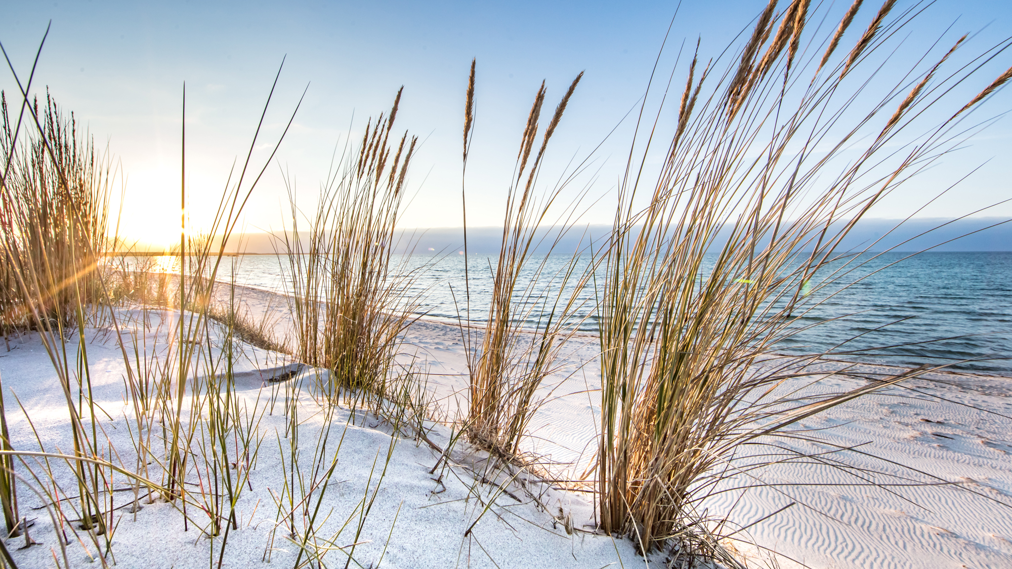 Seebestattungen vor dem Darsser Ort